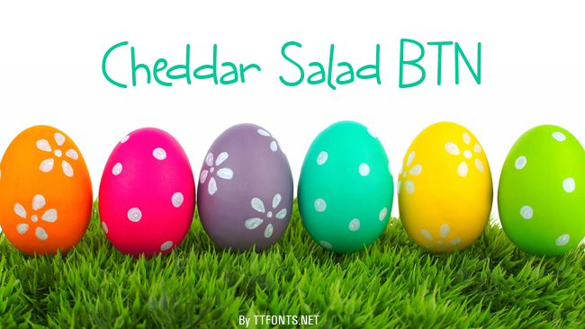 Cheddar Salad BTN example